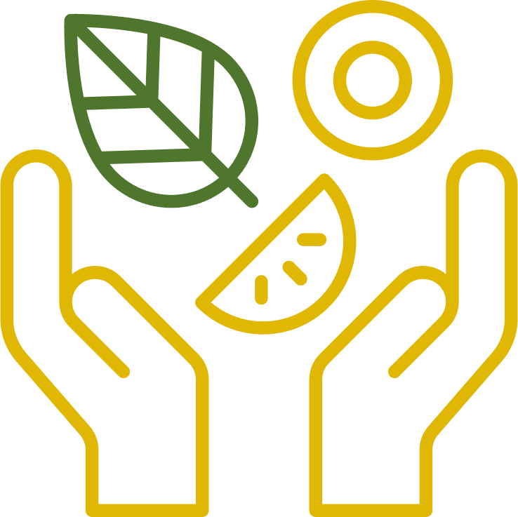 Logo Alimentation Plaisir : deux mains entourant une feuille et un agrume